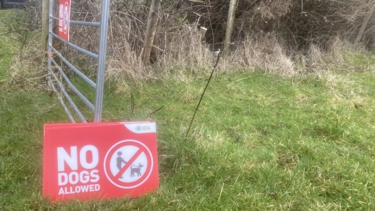 Sheep farmers urge dog owners to keep pets on leash