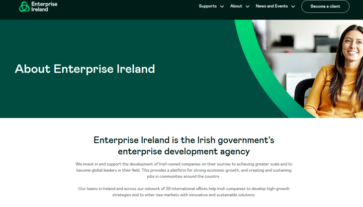 Employment in Irish Enterprise Hits Record High Despite Decline in Job Gains
